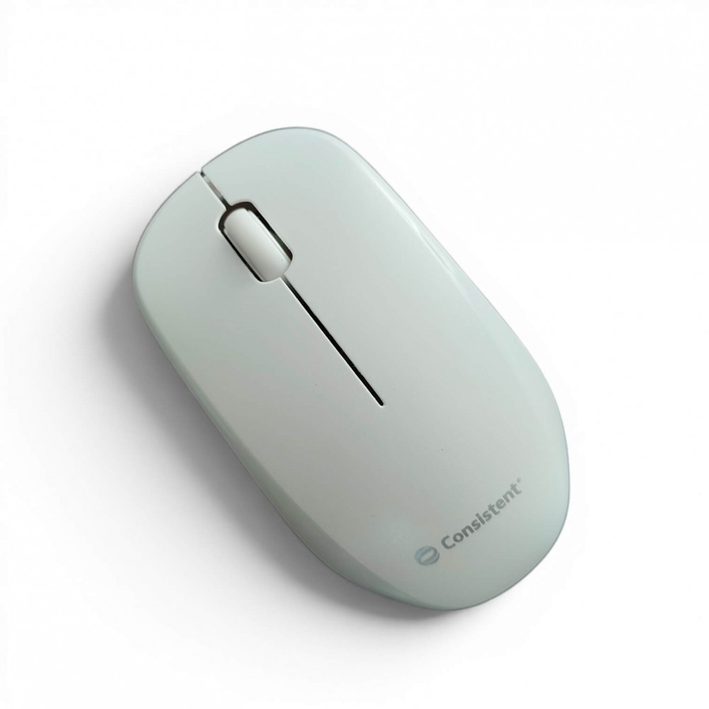 CONSISTENT WIRELESS MOUSE